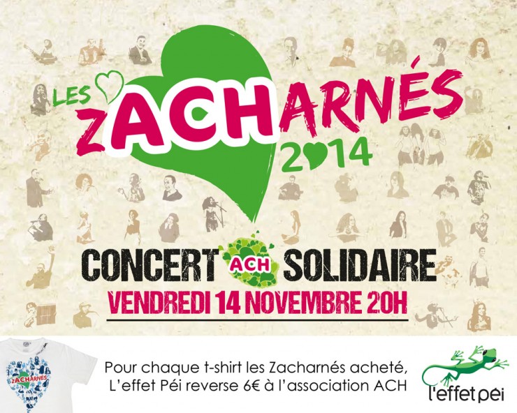 Les Zacharnés 2014 - Concert Solidaire