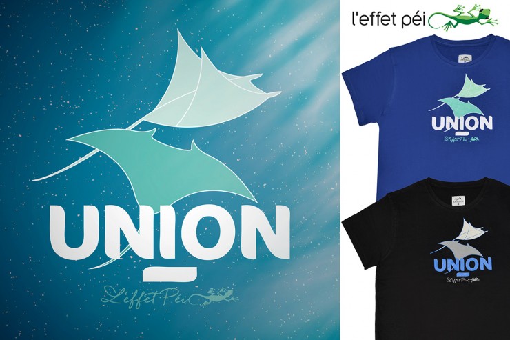 T-shirt Raie Union - Bleu